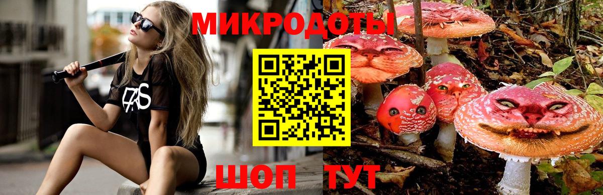 Псилоцибиновые грибы Psilocybine cubensis Малгобек