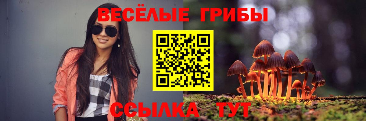 Малгобек  Галлюциногенные грибы GOLDEN TEACHER  Вход с VPN 
